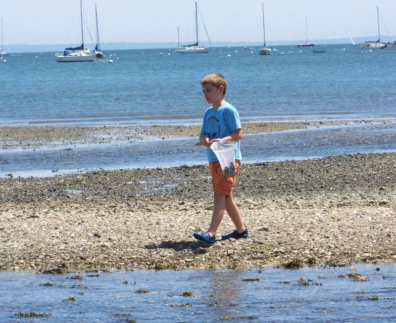 Cameron Makuch takes a stroll with net in hand on a sandbar near Shining Tides Beach. BY MATTHEW BERNAT